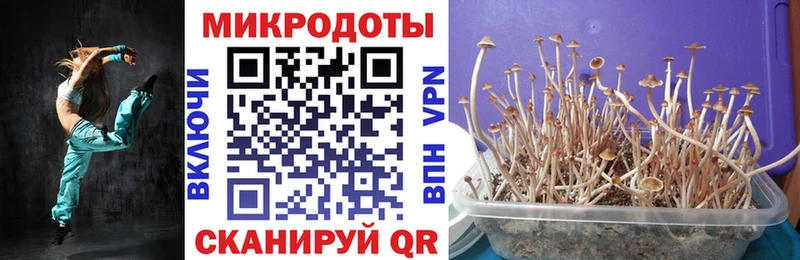 Галлюциногенные грибы MAGIC MUSHROOMS Абдулино