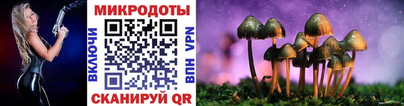 даркнет сайт Абдулино Псилоцибиновые грибы Magic Shrooms